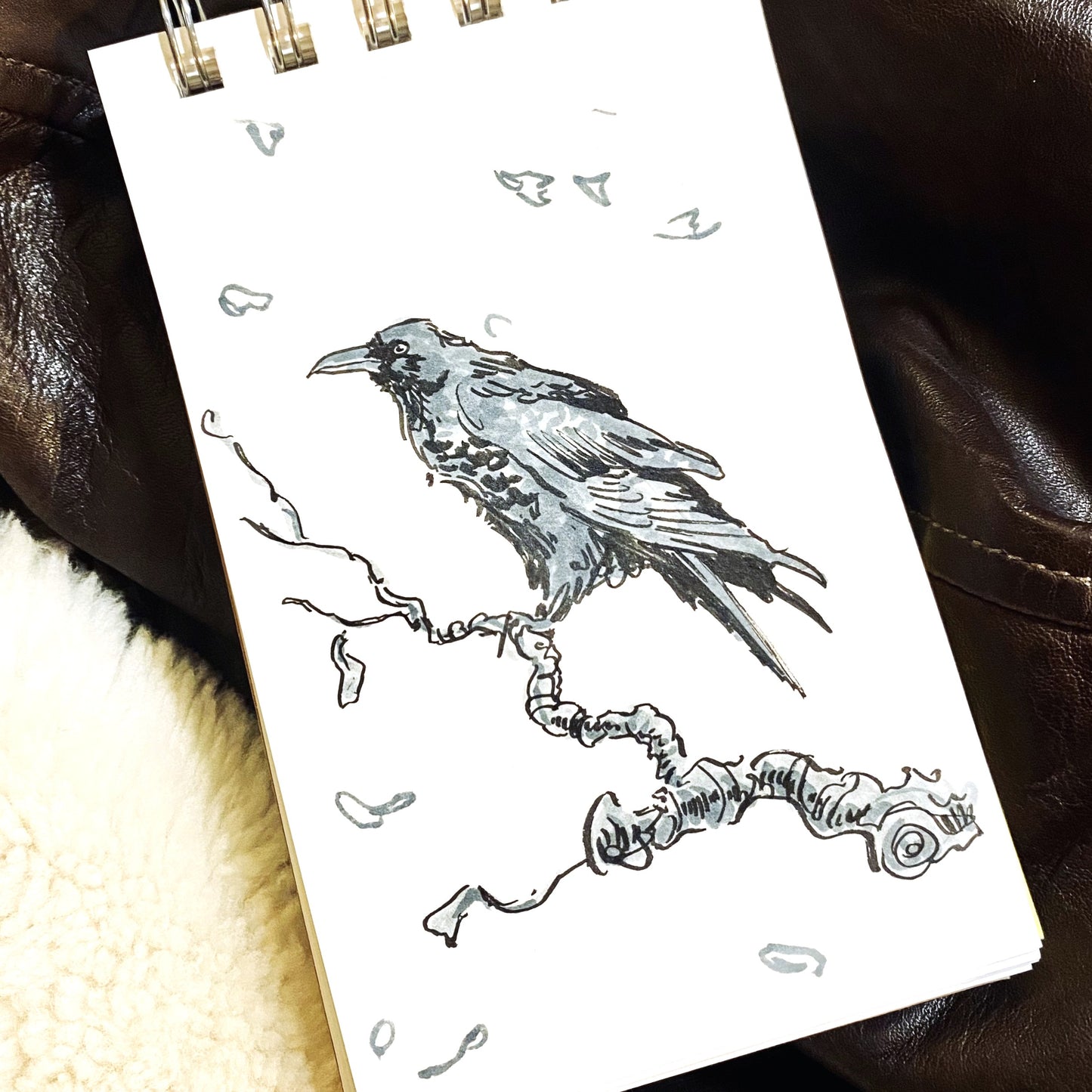 Raven