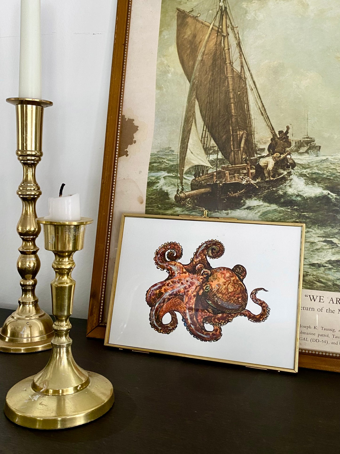Octopus
