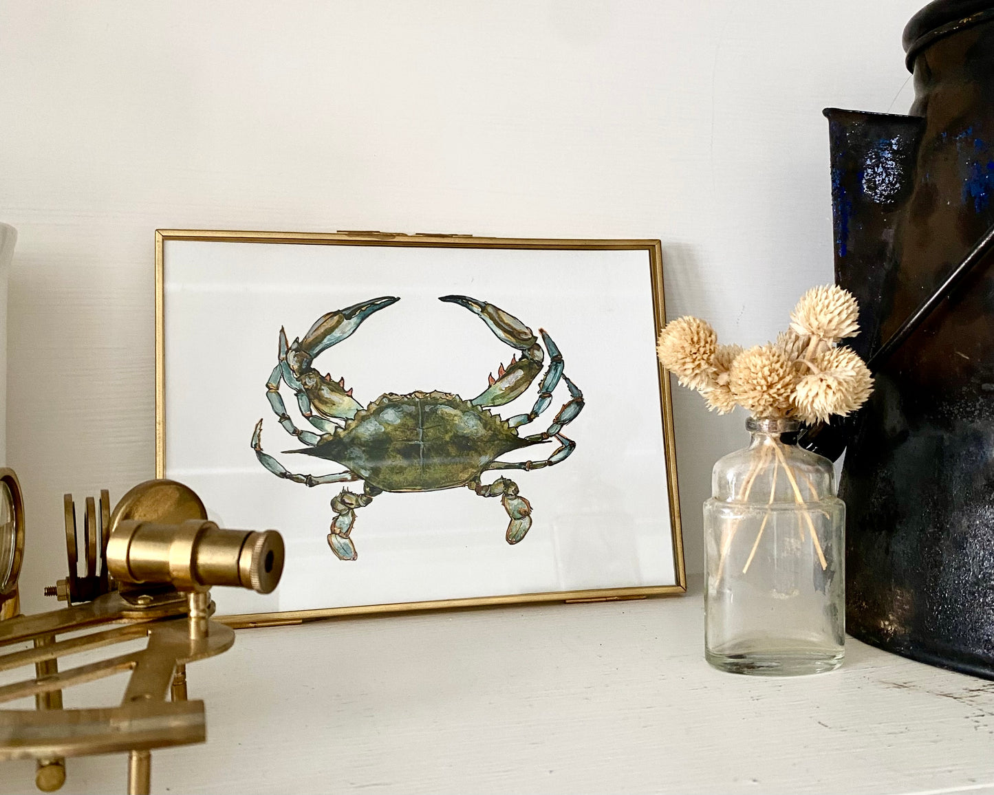 Chesapeake Crab