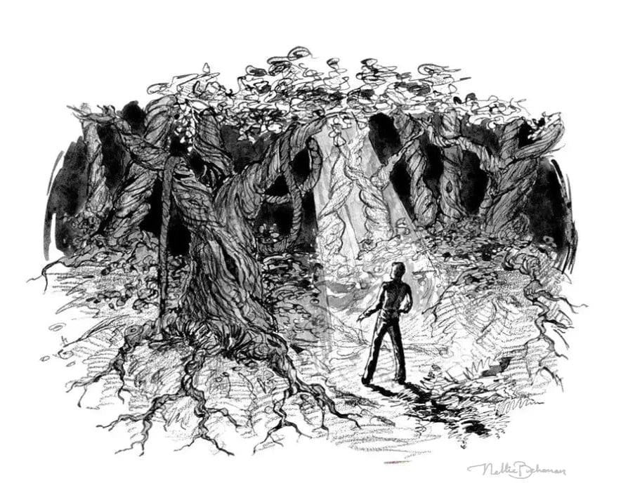 man standing in dark forest with light shining on him