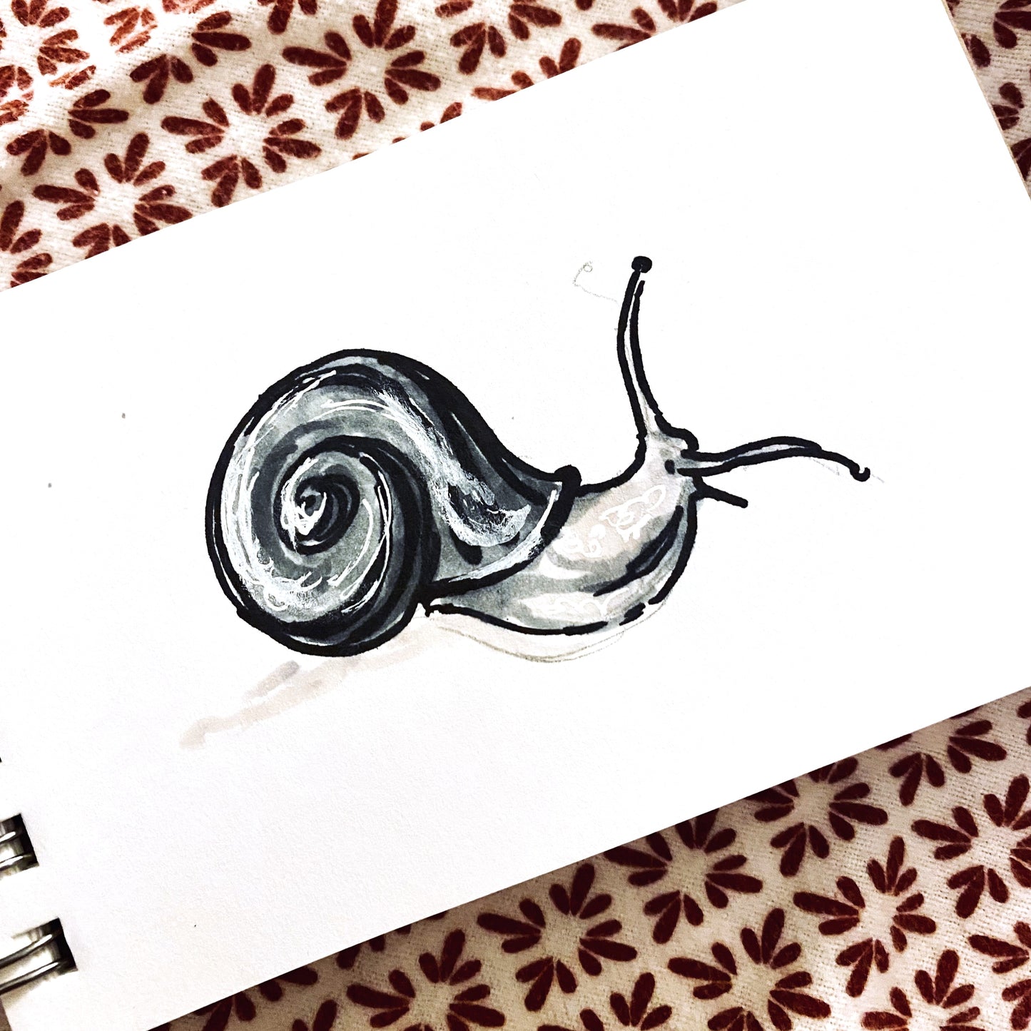 Snail