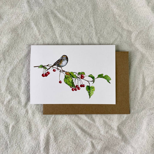 Sparrow Cards