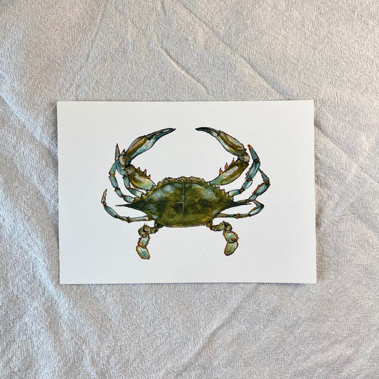Chesapeake Crab