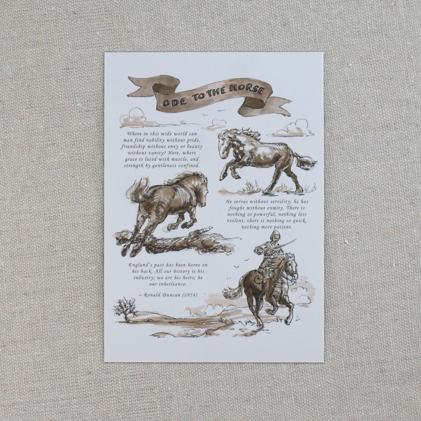 An illustrated poem about horses