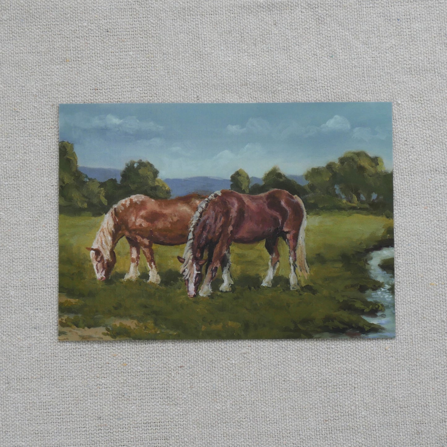 two horses grazing in a pasture
