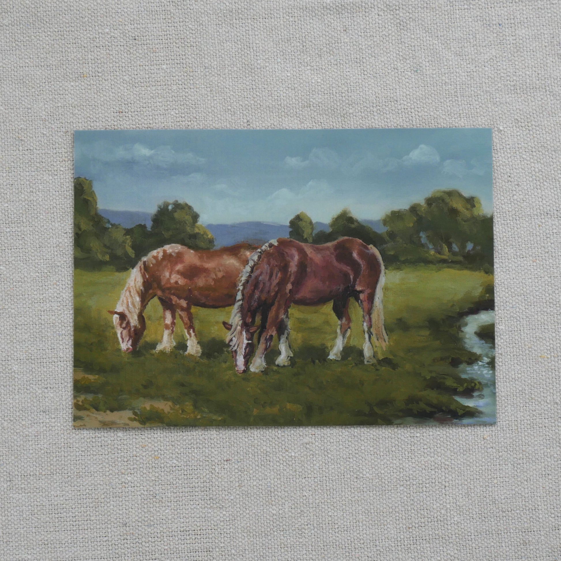 two horses grazing in a pasture