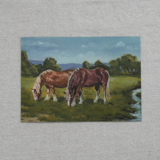 two horses grazing in a pasture