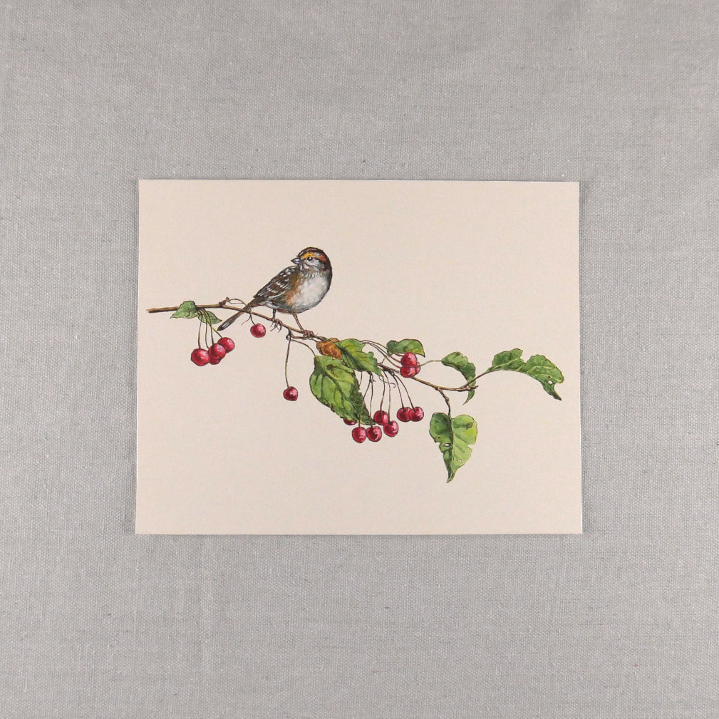 Sparrow with Crabapples